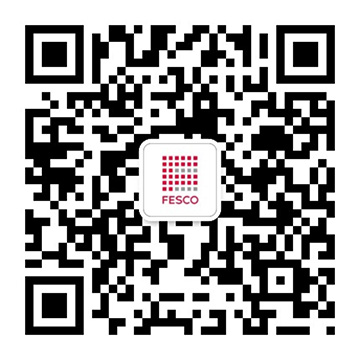 FESCO�㶫��ʱ